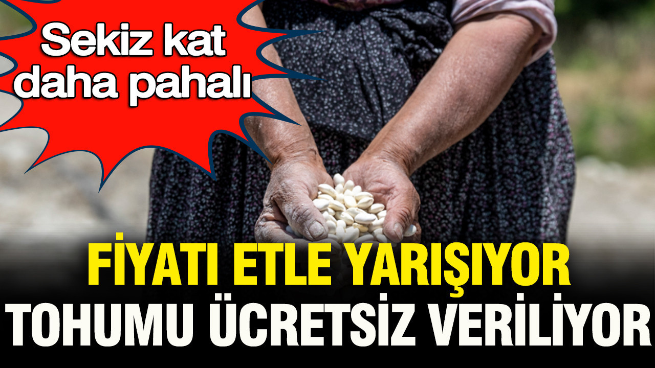 Normal fasulyeden sekiz kat daha pahalı: Fiyatı etle yarışıyor, tohumu ücretsiz dağıtılıyor