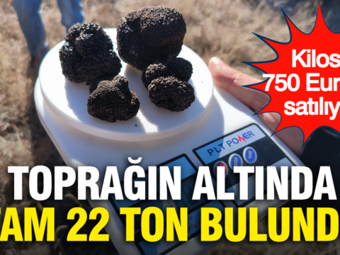 Kilosu 750 euroya satiliyor topragin altinda tam 22 ton bulundu IgsDtiIO