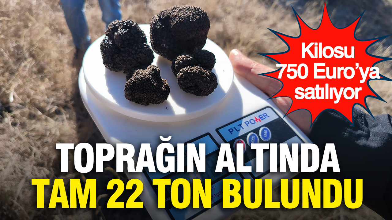 Kilosu 750 Euro’ya satılıyor: Toprağın altında tam 22 ton bulundu